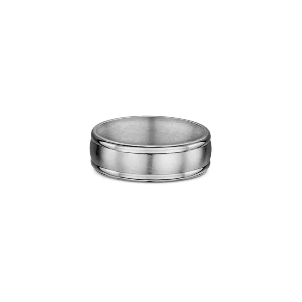 One plain titanium band ring. The ring features a matte finish in the center of the band.